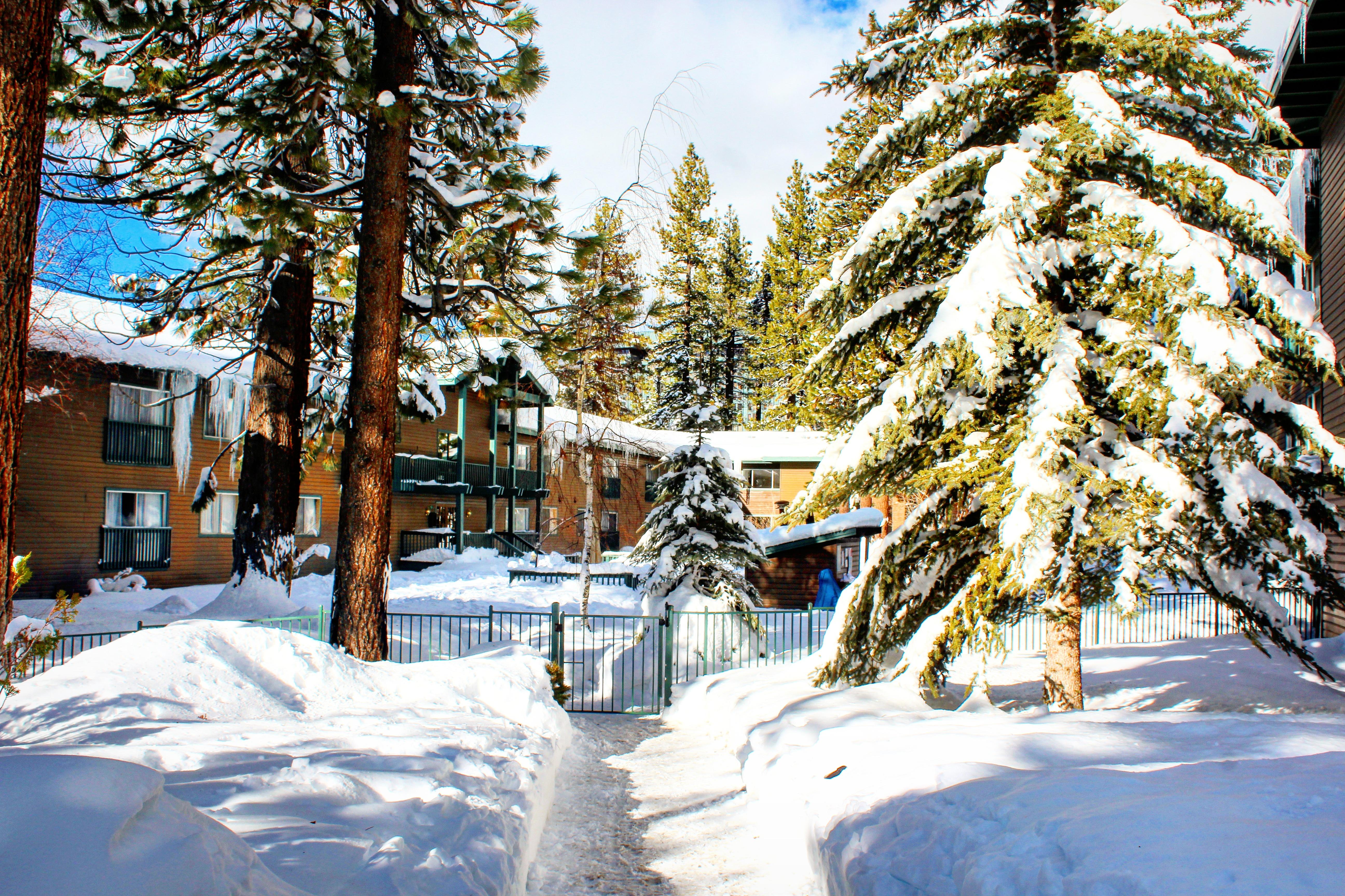 סאות' לייק טאהו Forest Suites Resort At The Heavenly Village מראה חיצוני תמונה